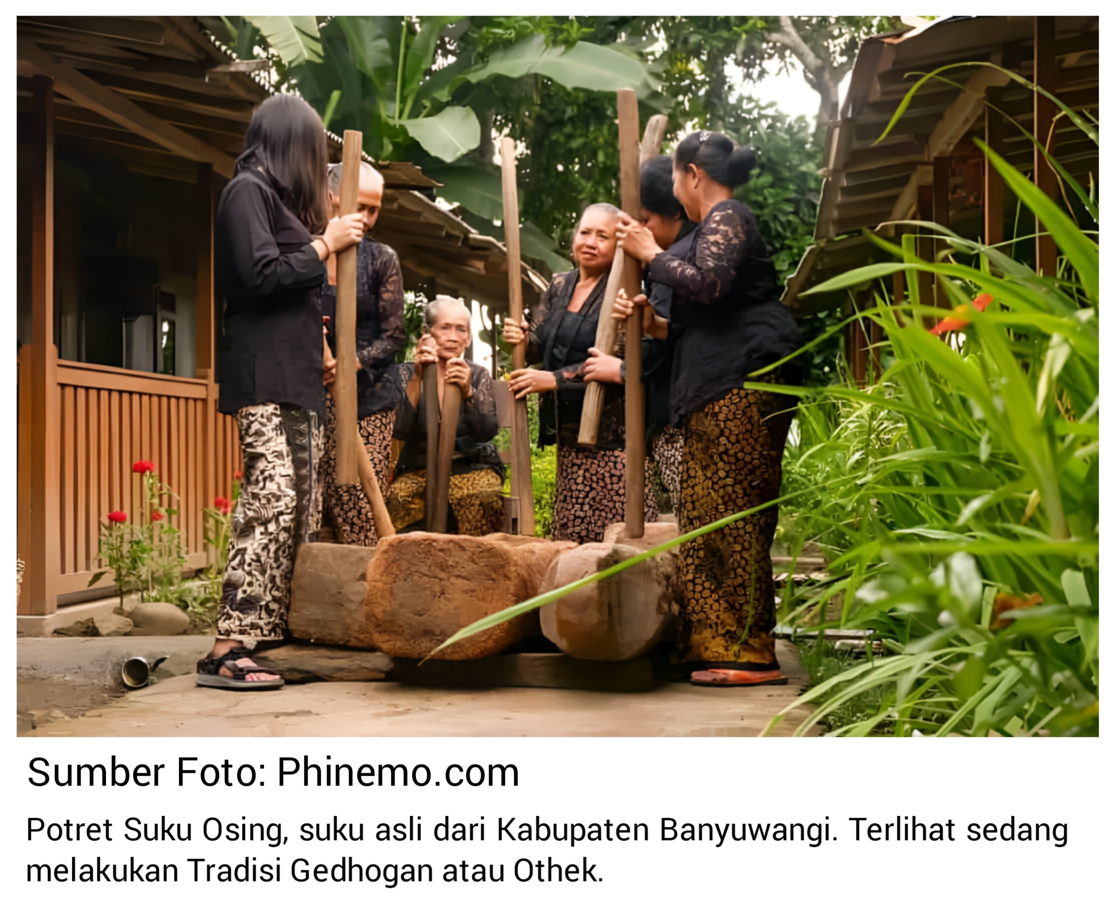 Menolak Lemah! Spirit "Osing-Using": Satu Nama, Ribuan Kisah Perlawanan